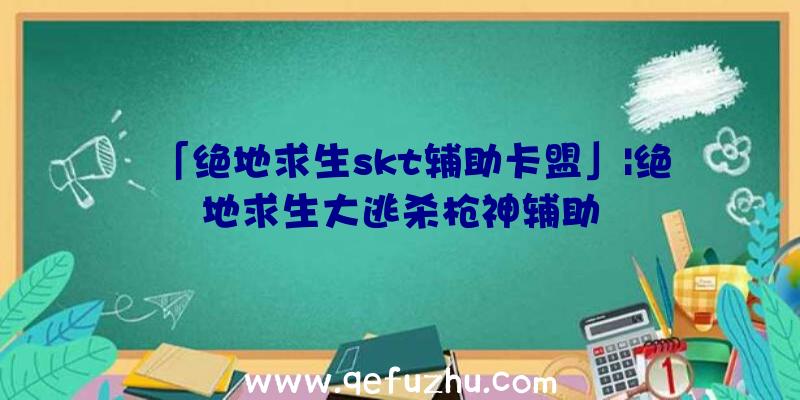 「绝地求生skt辅助卡盟」|绝地求生大逃杀枪神辅助